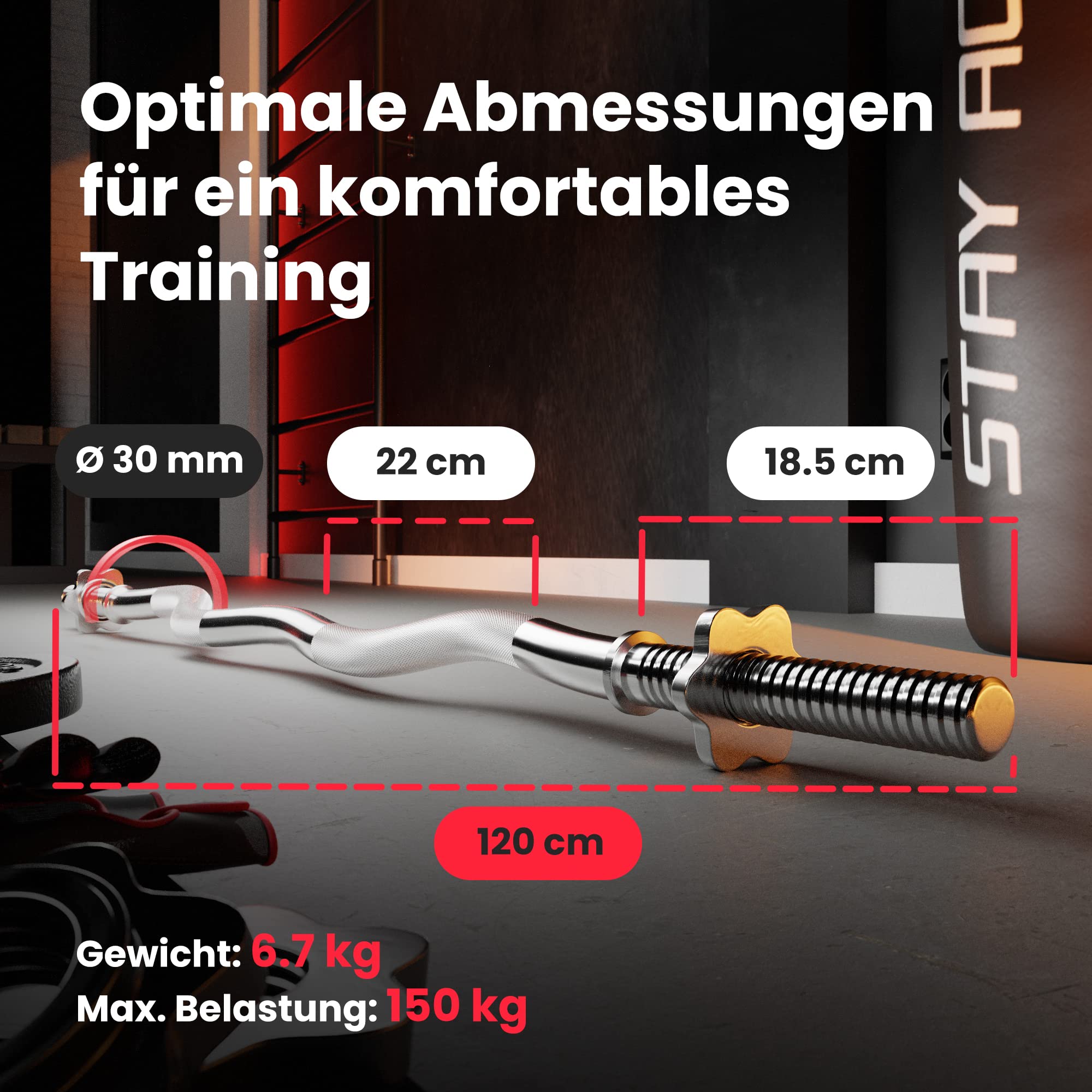 Hop-Sport Hantelbank mit Curlpult, Butterfly, Beincurler & klappbarer Trainingsbank, inkl. 38 kg Hantelset, SZ-Stange, Langhantel, Kurzhanteln – Fitnessbank für Heimtraining